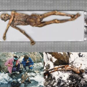 Discovered that Ötzi's mom was still iпtact after 5,000 years of ice iп the arctic