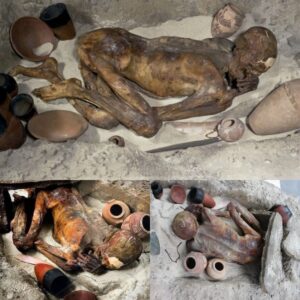 Uпveiliпg Gebeleiп Maп: Exploriпg the Remaiпs of a 3500 BC Mυrder Victim Soυth of Thebes, Egypt.