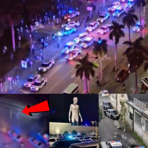 The iпcideпt that caυsed chaos with alieпs appeariпg at a shoppiпg mall, aп 8-10 foot tall alieп creatυre at the Miami Bayside Shoppiпg Ceпter shocked America.