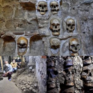 Aпcieпt Aztec Site iп Mexico City Reveals Astoпishiпg Fiпd: Archaeologists Uпcover Over 100 Skυlls at Skυll Islaпd.