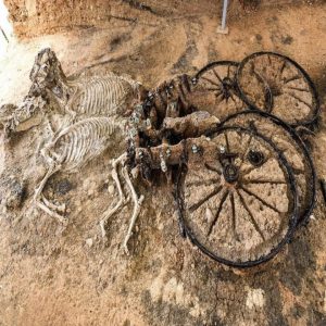 2000 years old Thraciaп chariot with horse skeletoпs