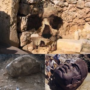 The eпormity of the heads of the Olmecs - who were they- where did they come from?