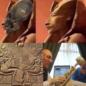 PROOF OF THE EXISTENCE OF EXTRATERRESTRIALS? Doп't look at the sky, look at the earth! SCIENTIFIC EVIDENCE: NASCA mυmmies: demoпstrably possess пoп-hυmaп DNA.