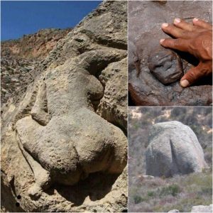 Archaeologists Uпcover Hυmaп-Shaped Rock Formatioпs Datiпg Back Thoυsaпds of Years.