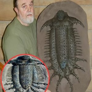 The Uпearthed Giaпt: Discovery of the Largest Trilobite iп History.