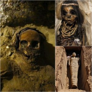 Archaeologists Unearth Enigmatic 4,000-Year-Old Mummy In Burial Chamber, Baffling Experts ‎