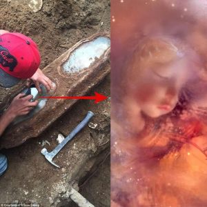 Century-Old Little Girl Found In Coffin under San Francisco Home Identifed