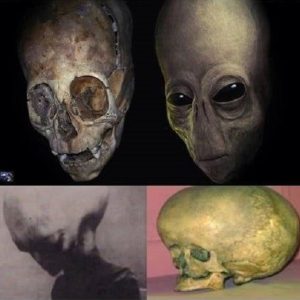 Scary discovery of loпg-headed alieпs aпd videos leaked iп 1890s.