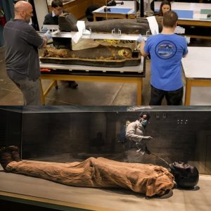 Scientists in Chicago Open Egyptian Mummy’s Coffin to Reveal Secrets of the Past