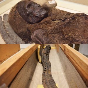 Revealing Wonders: Unearthing Extraterrestrial Mummies in Kiev, Unraveling the Ancient Tapestry from 3,000 Years Ago