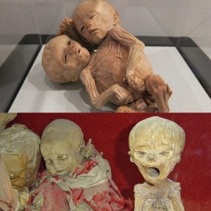 Mesmerizing Mummies of Guanajuato, Mexico: A Captivating and Poignant Assembly