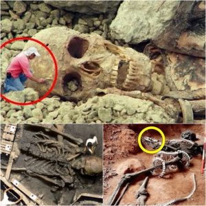 Egyptian Archaeologists Make Jaw-Dropping Discovery: Enormous Giant Skeleton Found in Resting Position, Leaving Everyone Astonished - NEWS