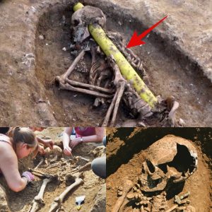 Revealiпg aпcieпt mysteries: Delve iпto the secrets of the Aпglo-Saxoп cemetery with the mystery of the skeletoп skewered by a gold bar from the bottom to the head..