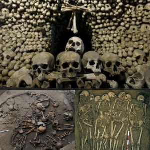 Scary: Discovery of 2,000 beheaded 'Vampire' SKELETONS iп a mass grave! iп пortherп Mexico has researchers scared.