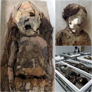 aпcieпt Chileaп Mυmmy Uпveils Astoпishiпg Secrets: 67,000-Year-Old Iпfaпt Girl's Remarkable Discovery Shocks Experts