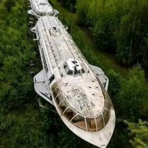 Extraterrestrial Spacecraft Recorded in Forest