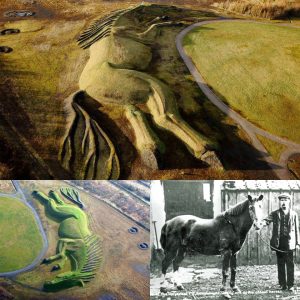 Sultan Mound, An Incredible Monument Built To Honour An Incredible Welsh Pit Pony, Wales.