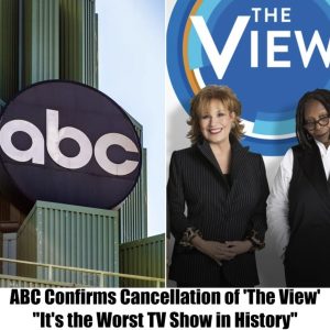 True or False? ABC Executive Allegedly Calls 'The View' "Worst Show on TV," Speculation Arises Over Cancellation