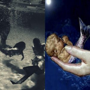 Mermaid Mythology Unveiled: Do Mermaids Give Birth to Babies or Eggs?