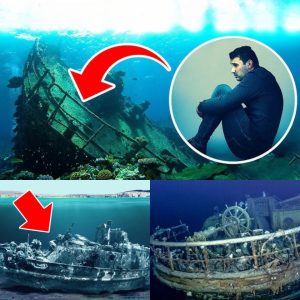 Breaking: Surprisingly, the ship missing for more than 150 years was found by a fisherman in the Mariana Trench, but one crew member was still alive thanks to an oxygen generator.