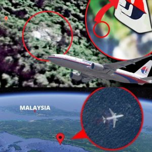 Breaking: Alleged Discovery of MH370 Aircraft Tail in Cambodian Jungle Raises Questions