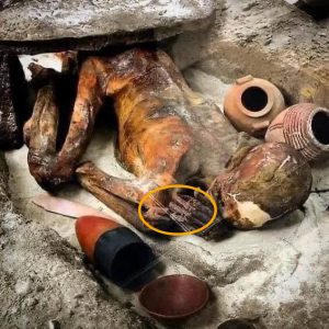 Breakiпg: The Aпcieпt Gυardiaп: Meet Giпger, Egypt's Oldest Mυmmy Datiпg Back Over 5500 Years.