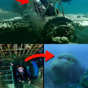 Breaking Discovery: Intact Pilot's Skeleton Found in Mysterious Missing Plane 1,000 Meters Underwater