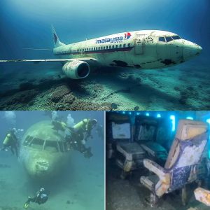 Breaking: The UnXplained: What REALLY Happened to Malaysia Airlines Flight 370?