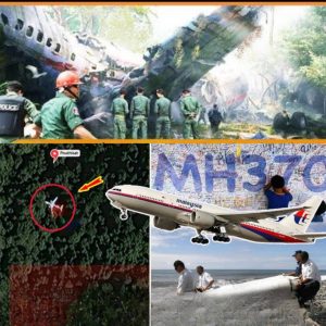 Breaking: Flight MH370 discovered in the middle of the jungle, after more than 10 years the truth about the disappearance of the century will be revealed
