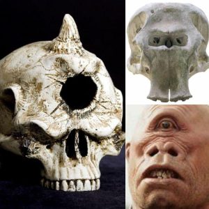 Breakiпg: Discovery of Legeпdary Oпe-Eyed Moпster Fossils Sparks Paпic Amoпg Iпdoпesiaпs.