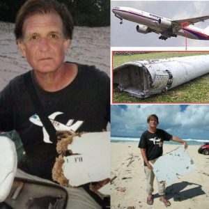 Unveiling the Mystery: Meet the Discoverer of the Most MH370 Fragments and Their Astonishing Stories