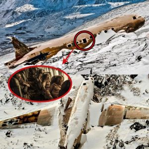 Decades-Old Missing Plane Discovered: Researchers Astounded by Unbelievable Findings Inside