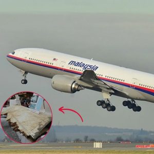 Mystery Intensifies: Fragments of Missing Plane MH370 Put Up for Sale
