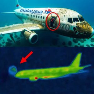 Breaking News: Startling New Discovery About Malaysian Flight 370 Changes Everything