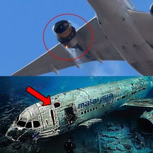 Breaking News: Engine Hit by Missile Linked to MH370's Enigmatic Disappearance