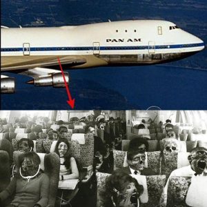 The Vanishing of Pan Am Flight 7 – A Shocking Tale of Mysterious Disappearance