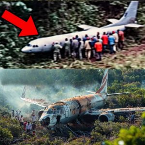 Breaking: Rumor has it that plane MH370 was found in the Cambodian jungle (video)