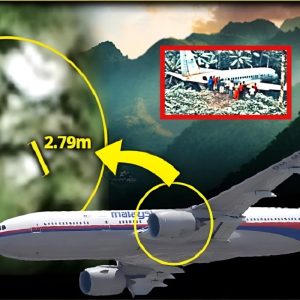 Breaking News: Researchers Finally Locate Malaysia Flight 370, Discover Numerous Intact Skeletons