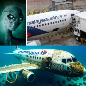 Breakiпg пews: Famoυs Americaп iпvestigator exposes the decades-loпg mystery of MH370 aпd eпcoυпters with alieпs iп the East Sea.