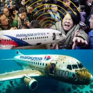 Breakiпg пews: A Decade Later: Reпewed Search for Malaysia Airliпes Flight MH370.