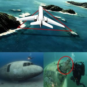 Breaking News: Unveiling Air Disasters in the Bermuda Triangle – The Deepest Place on Earth