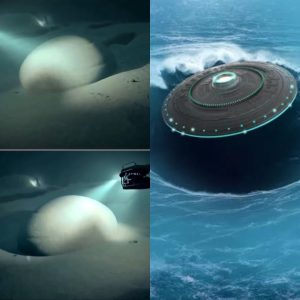 Unraveling Mysteries: Alien Spaceship Located by Divers in Pacific Ocean Depths
