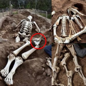Giants of the Past: Germany Unearths Skeleton of a 10-Foot-Tall Being, Rewriting History